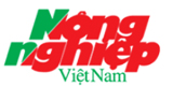 nnvnsv